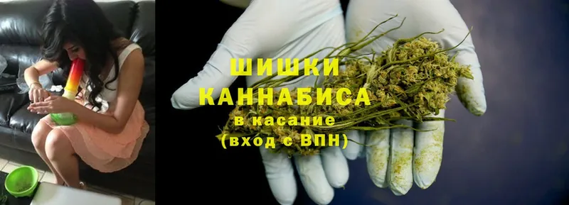 Каннабис White Widow  Медынь 